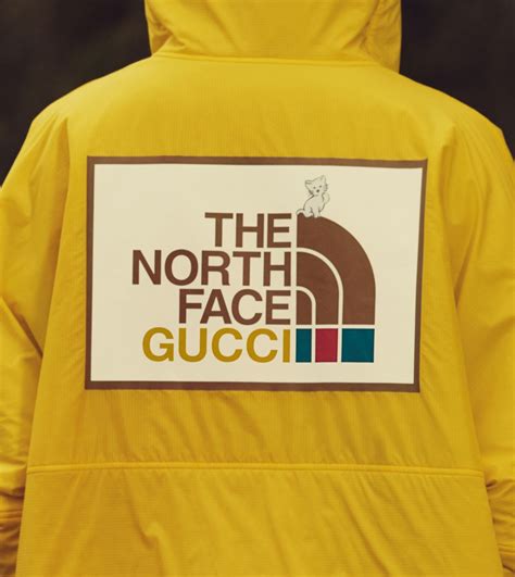 noeth face x gucci|gucci x north face tracksuit.